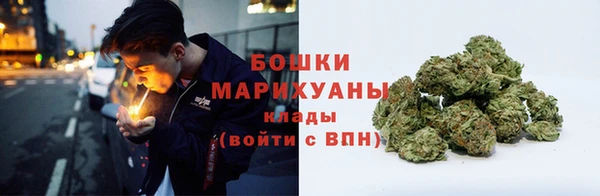 крисы Дмитровск