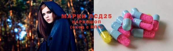 меф VHQ Дмитриев